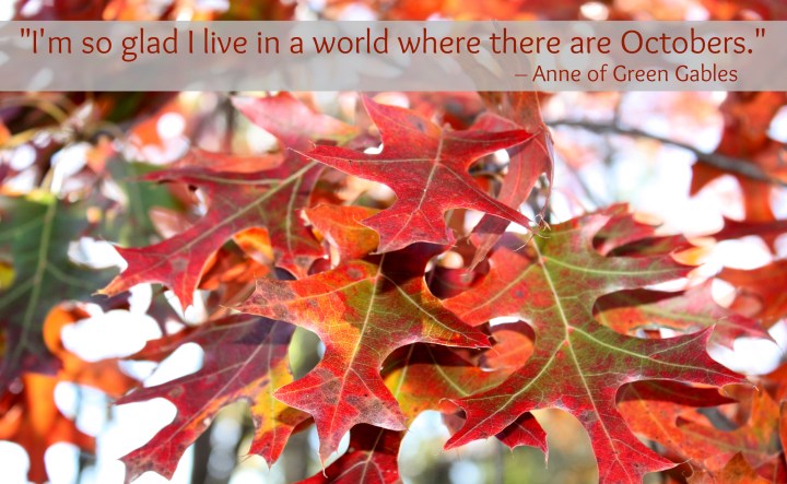 Quote: I'm so glad to live in a world where there are Octobers. Anne of Green Gables